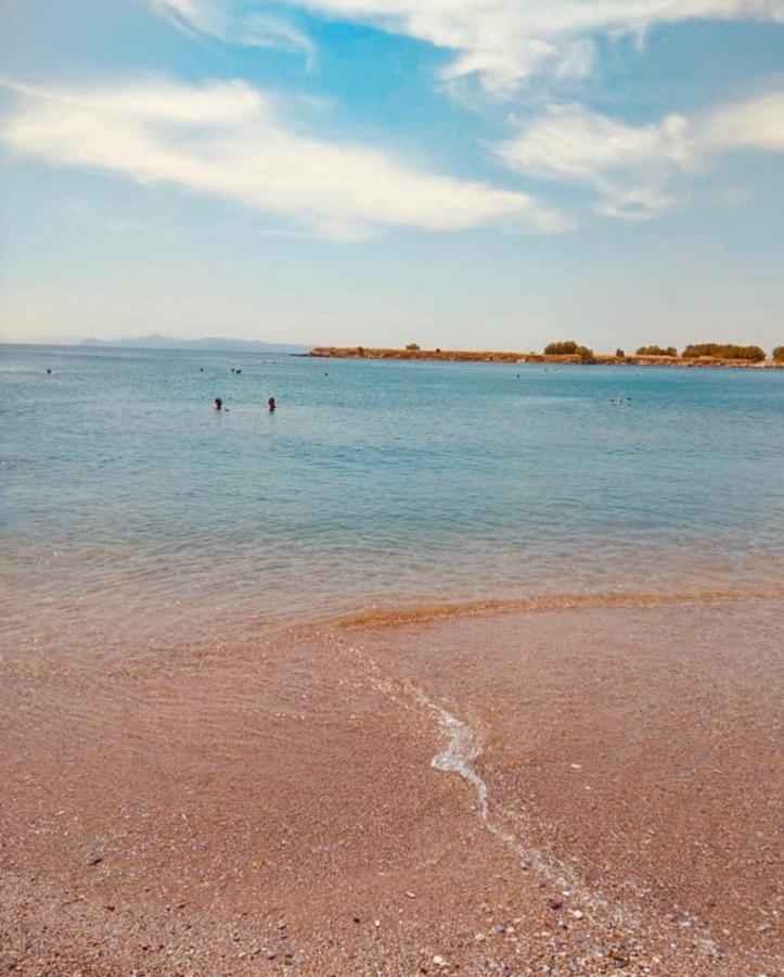 Modern Apt In Glyfada A Breath Away From The Sea - The View เอเธนส์ ภายนอก รูปภาพ